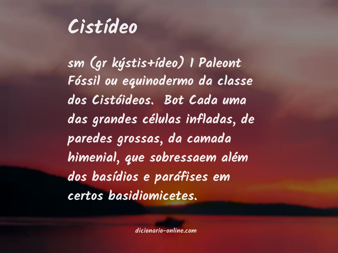 Significado de cistídeo