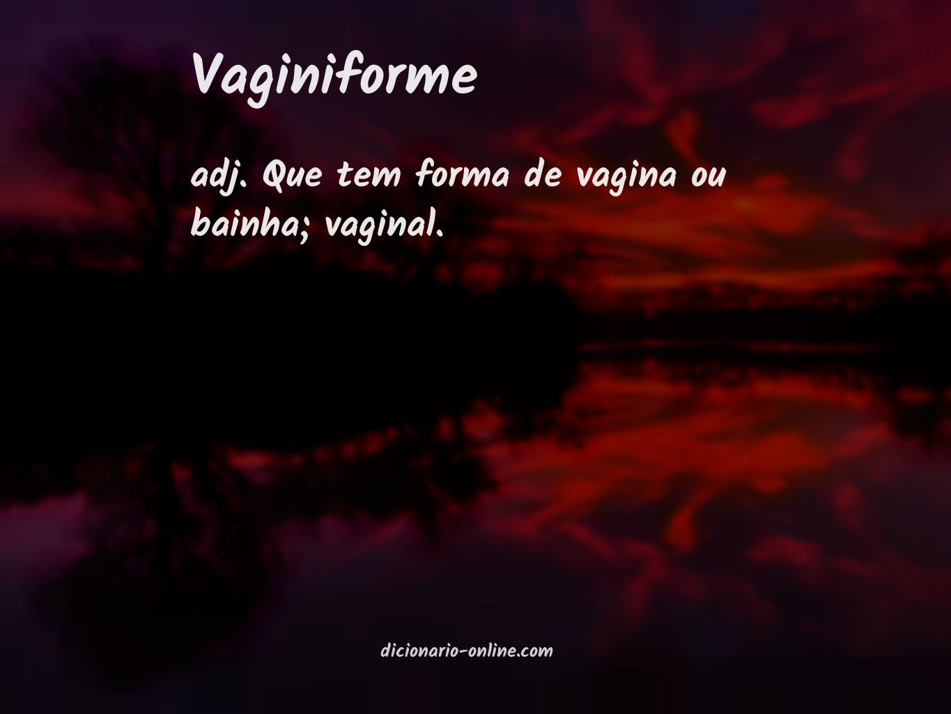 Significado de vaginiforme