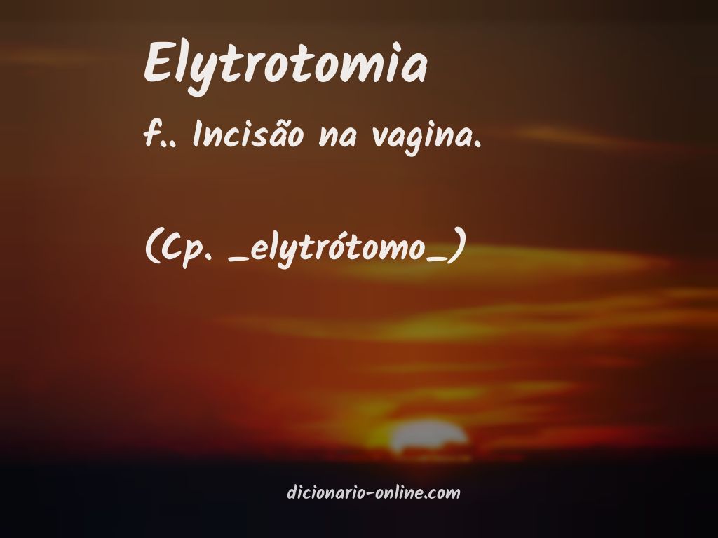 Significado de elytrotomia