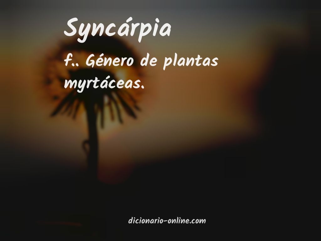 Significado de syncárpia