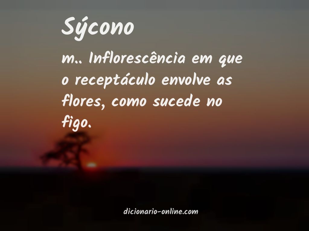 Significado de sýcono