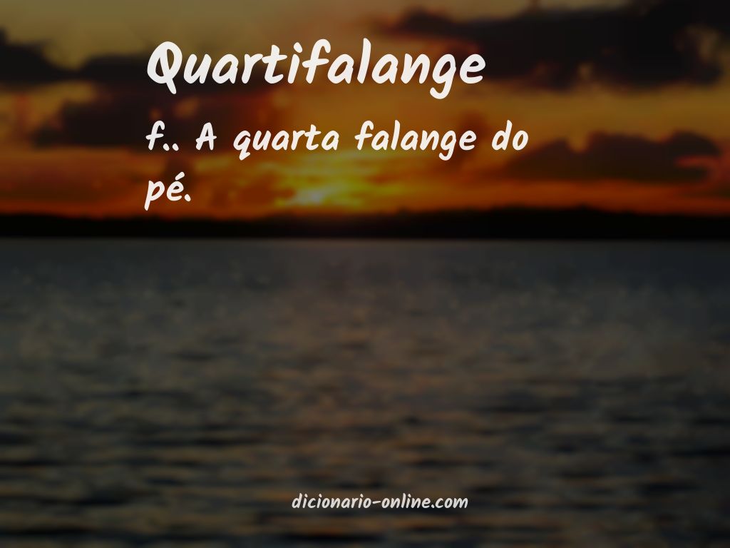 Significado de quartifalange