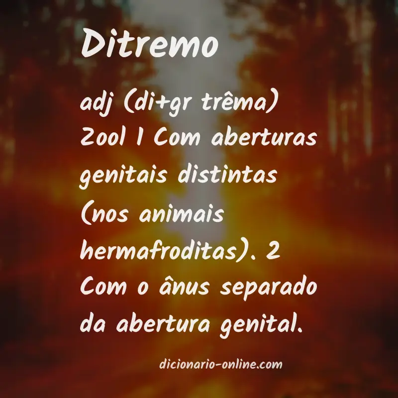 Significado de ditremo