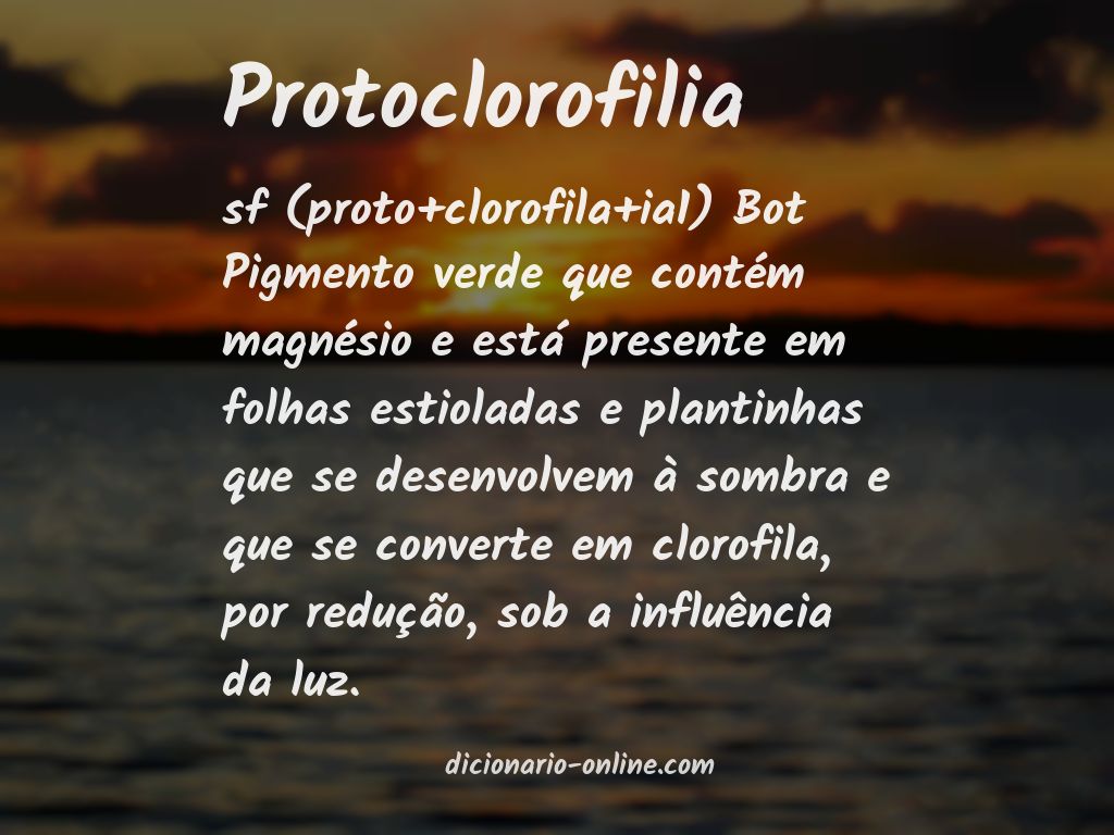 Significado de protoclorofilia