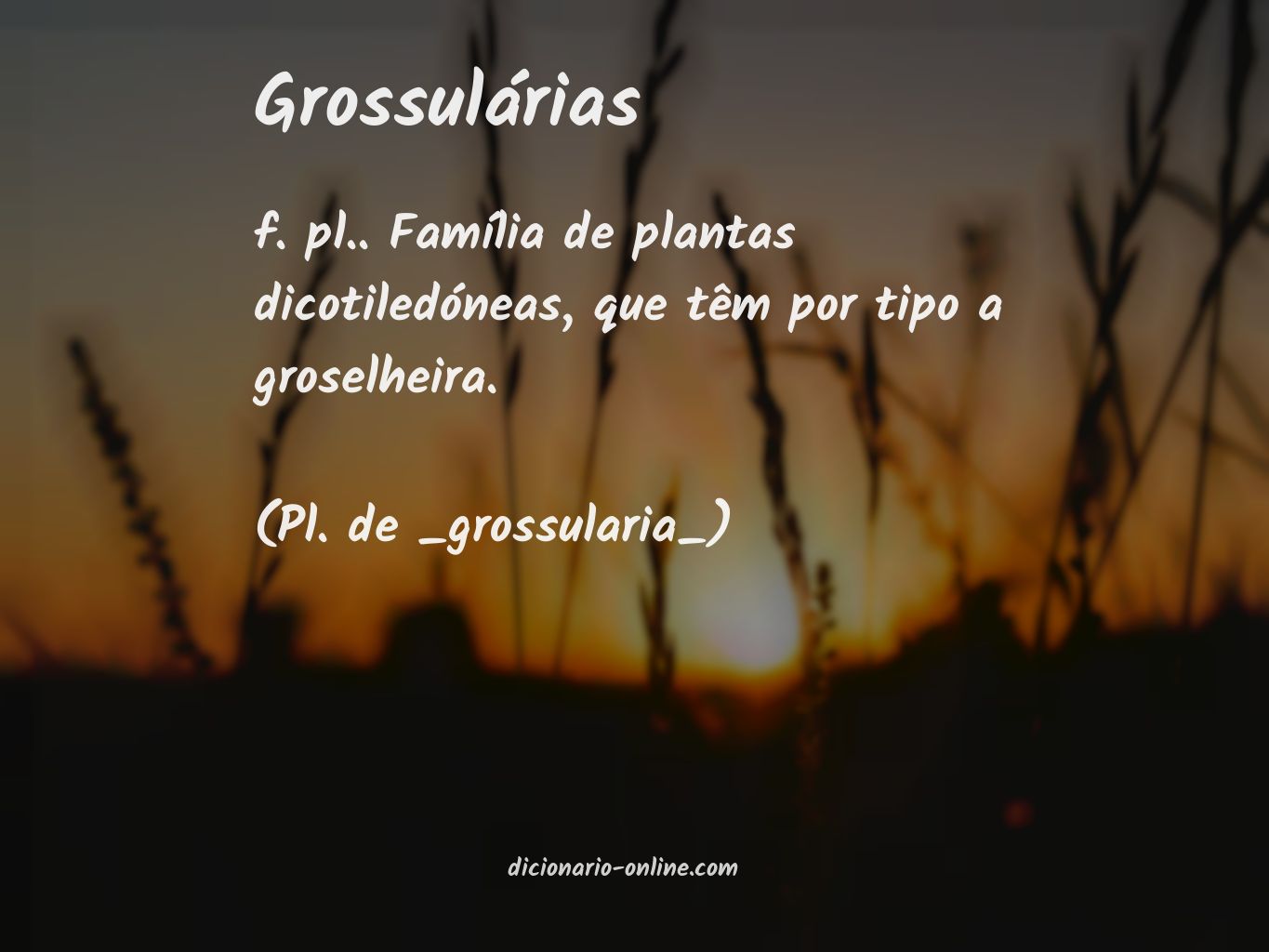 Significado de grossulárias