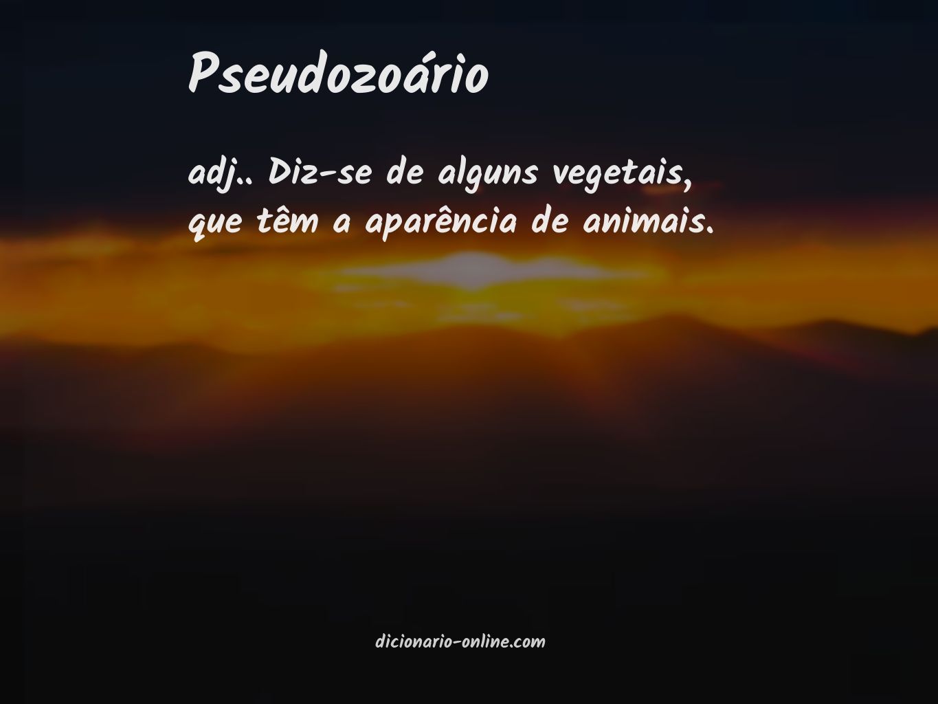 Significado de pseudozoário