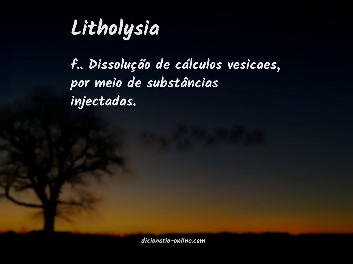 Significado de litholysia