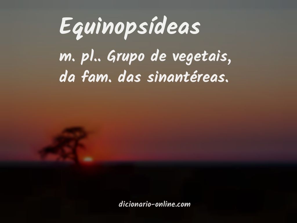 Significado de equinopsídeas