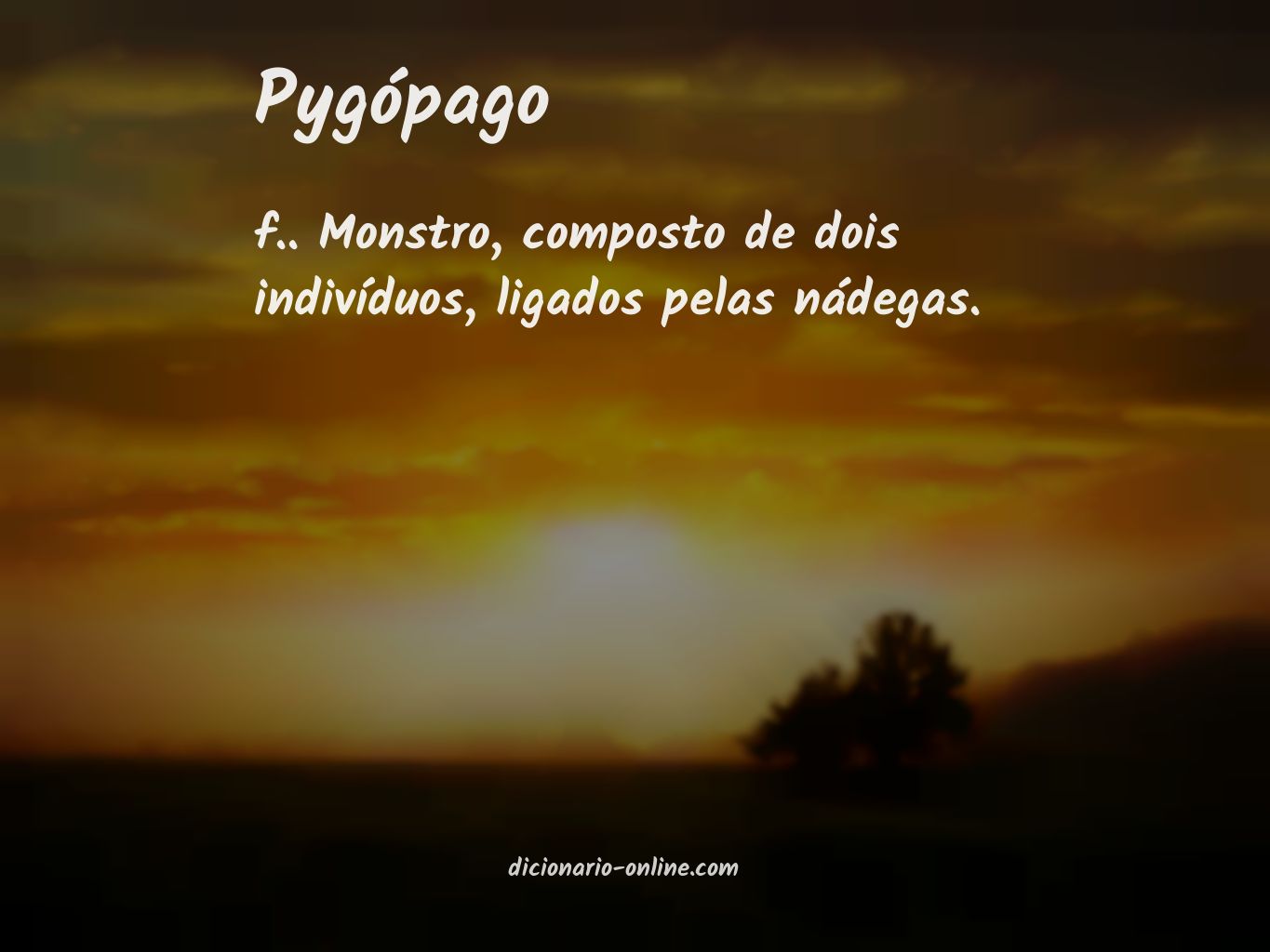 Significado de pygópago