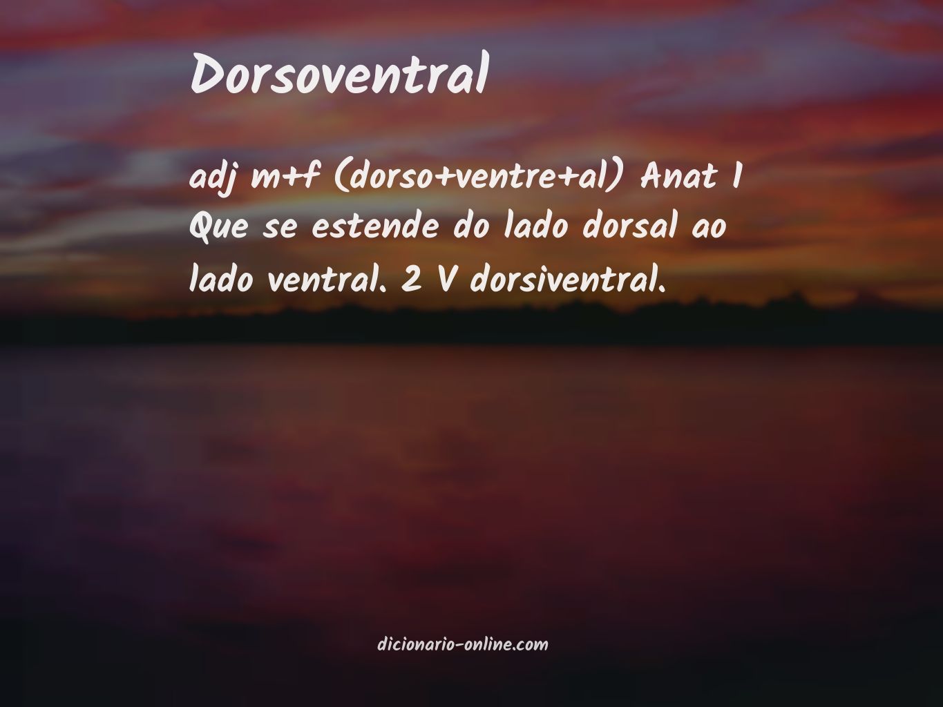 Significado de dorsoventral