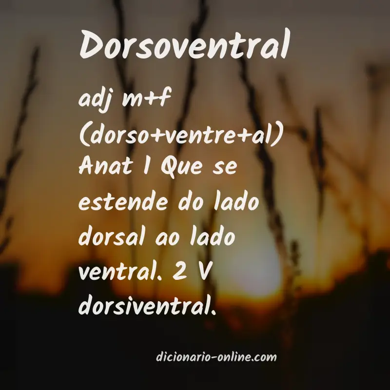 Significado de dorsoventral