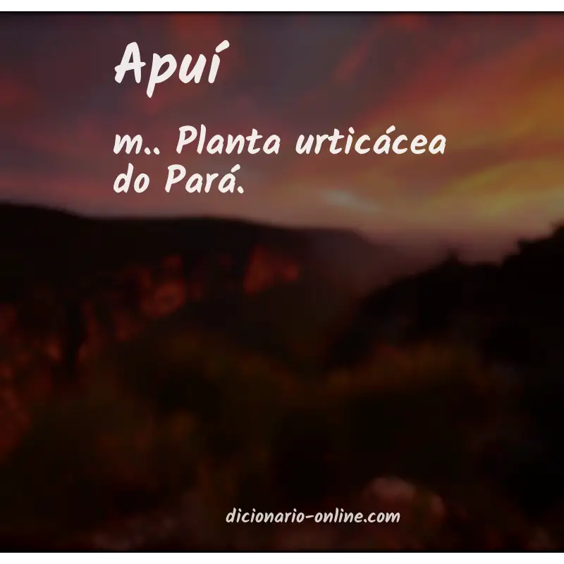 Significado de apuí