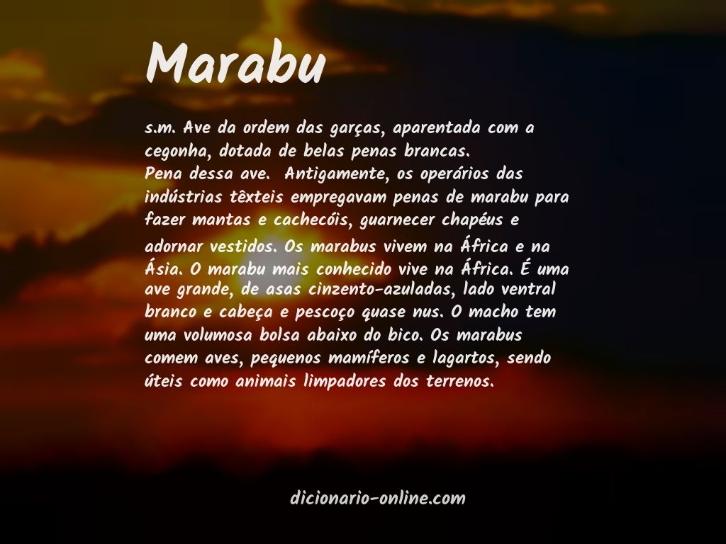 Significado de marabu