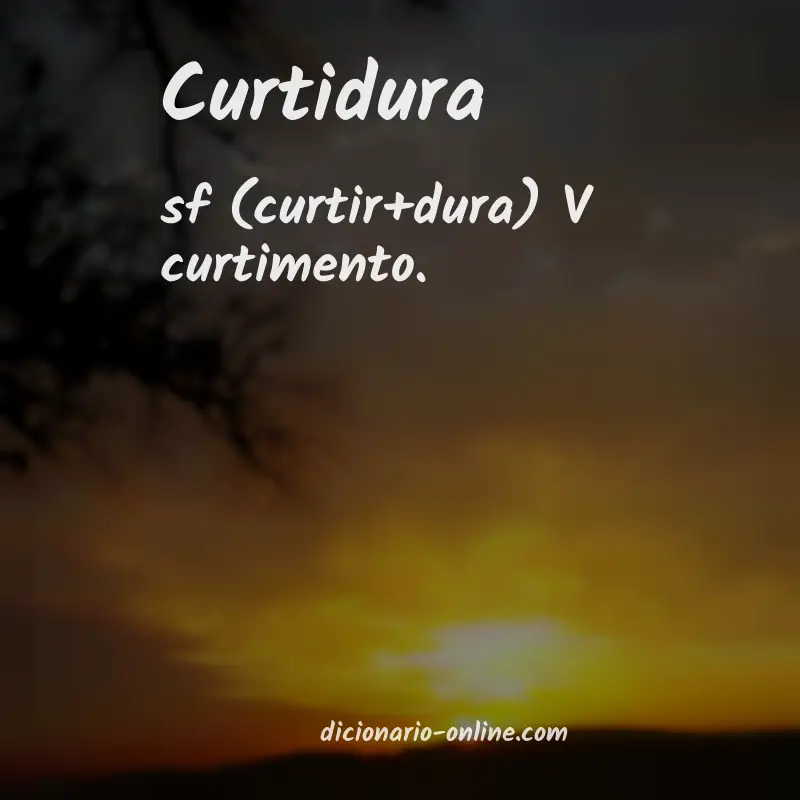 Significado de curtidura
