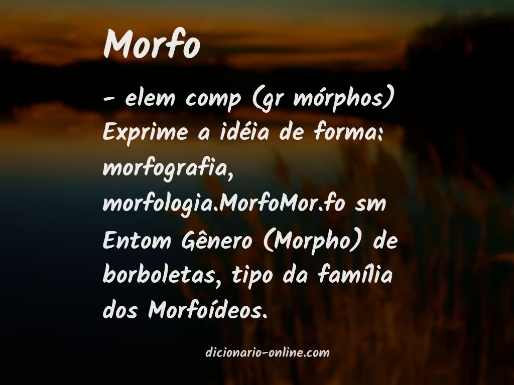 Significado de morfo