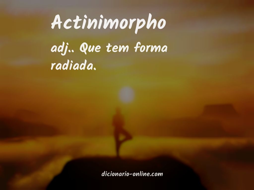 Significado de actinimorpho