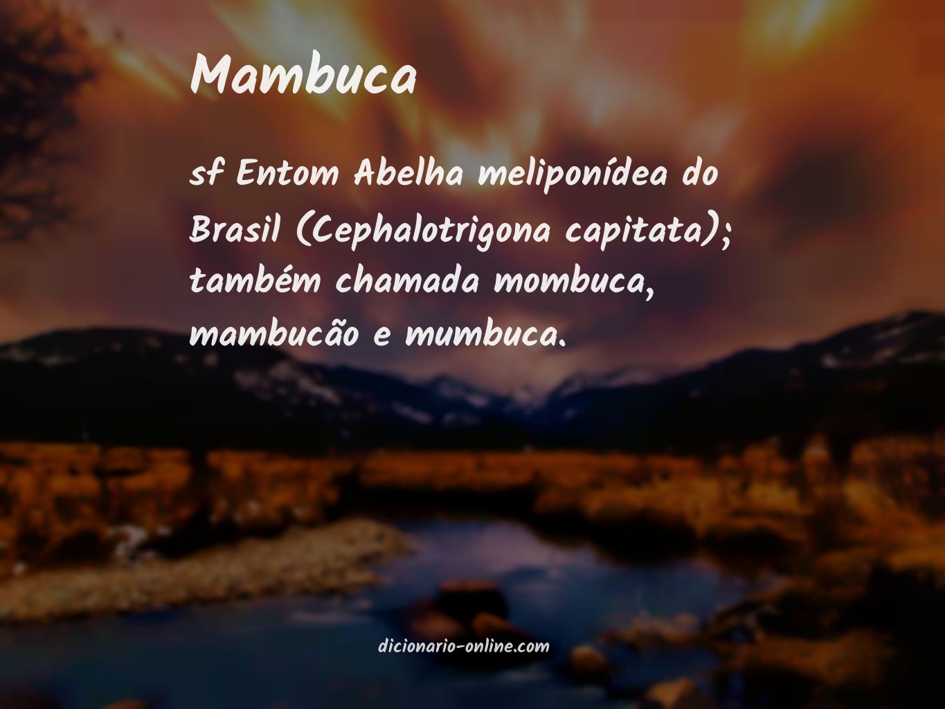 Significado de mambuca