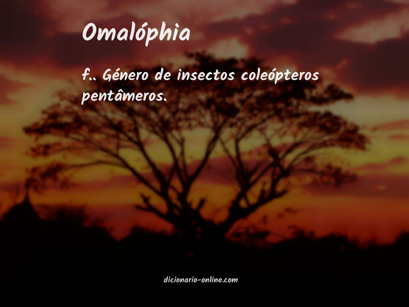 Significado de omalóphia