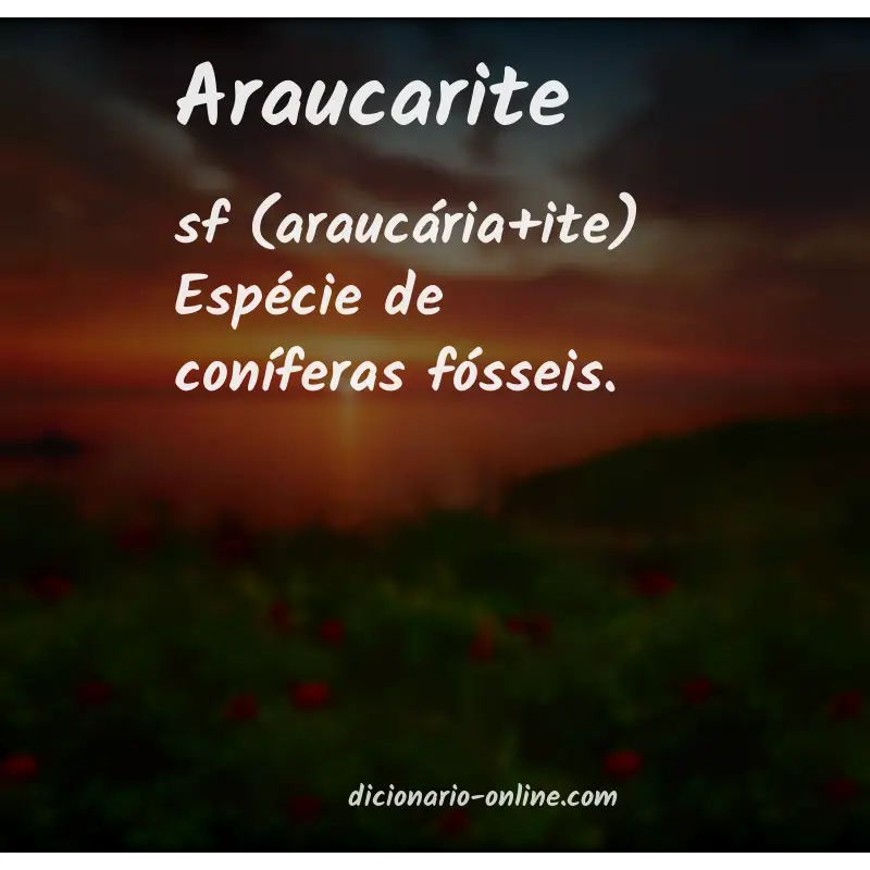 Significado de araucarite