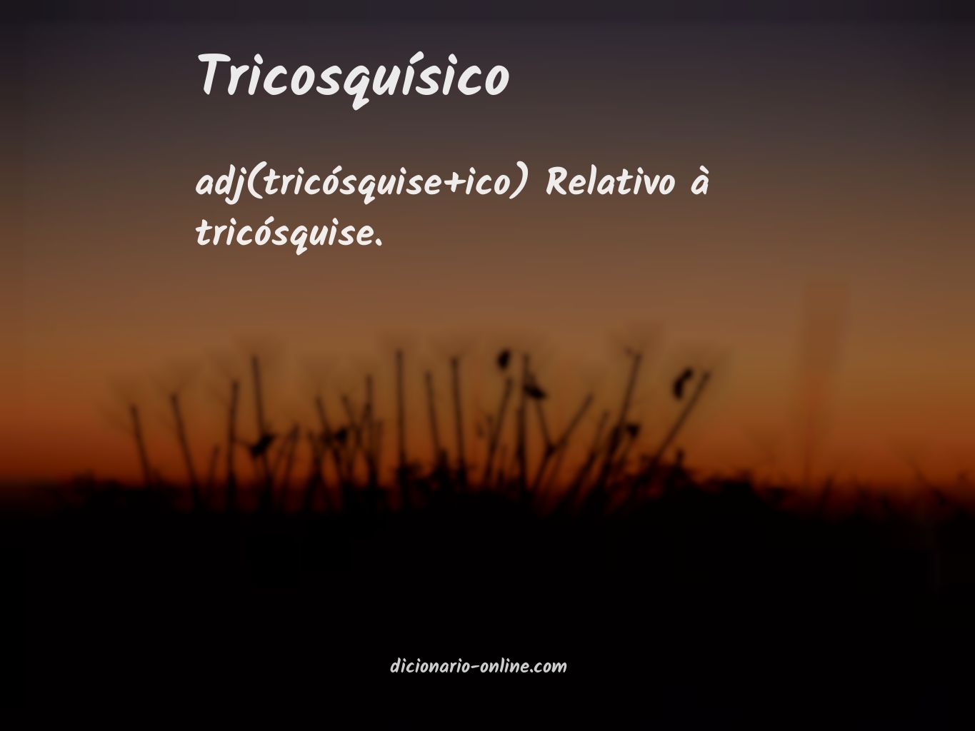 Significado de tricosquísico