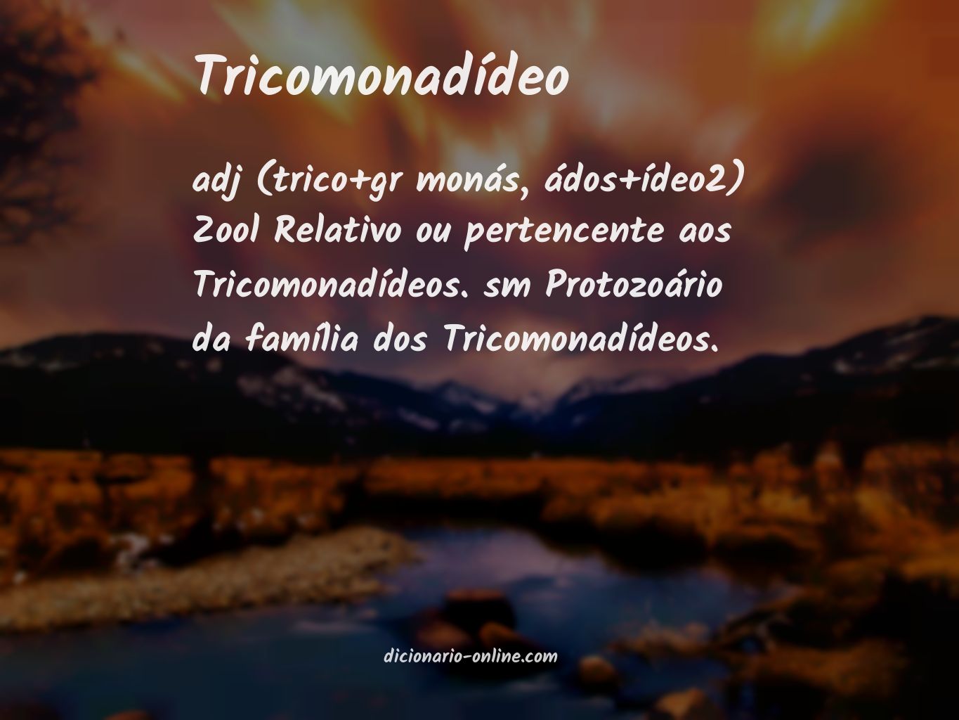 Significado de tricomonadídeo