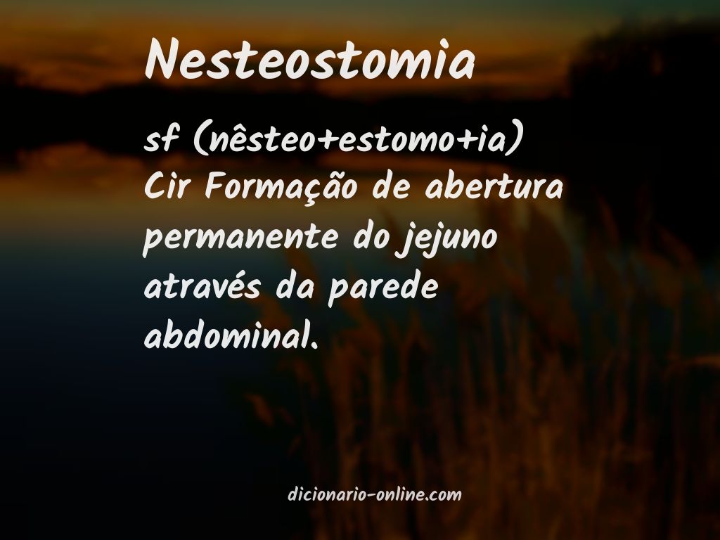 Significado de nesteostomia