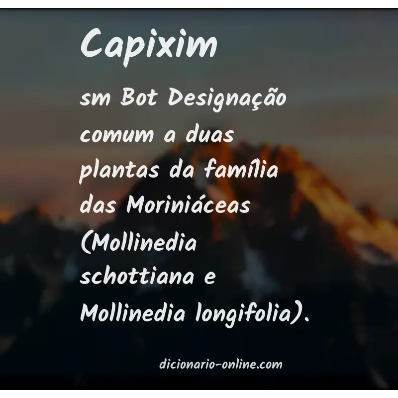 Significado de capixim