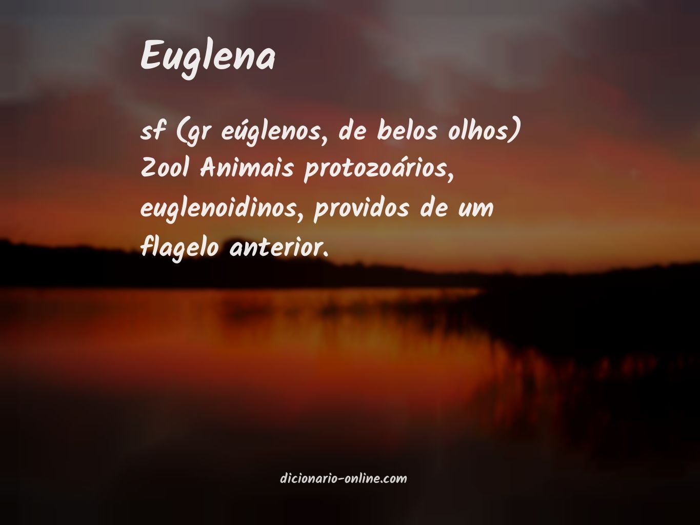 Significado de euglena