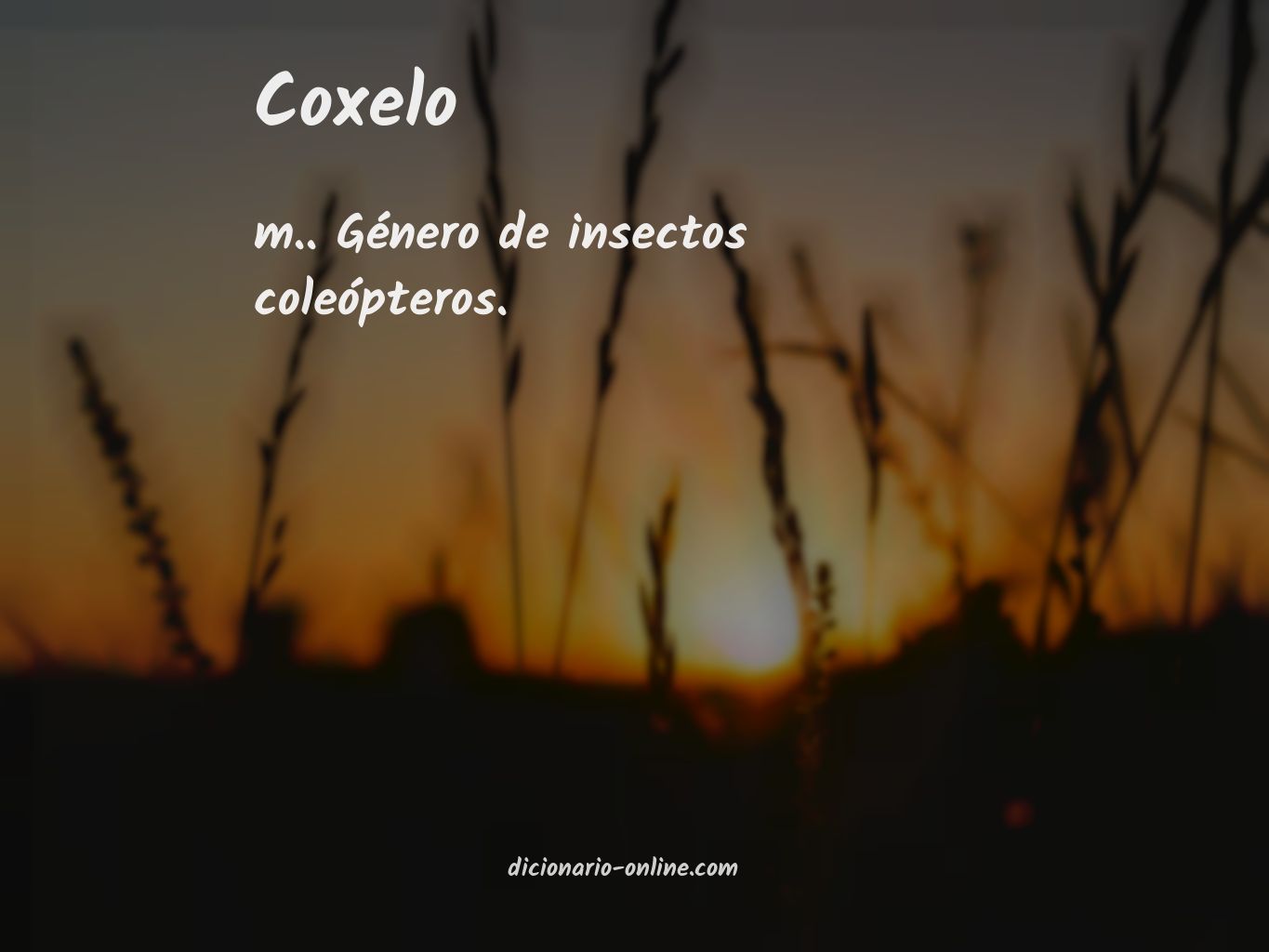 Significado de coxelo