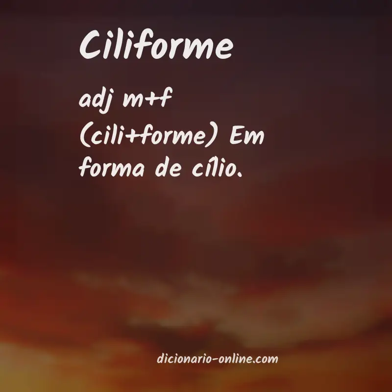 Significado de ciliforme