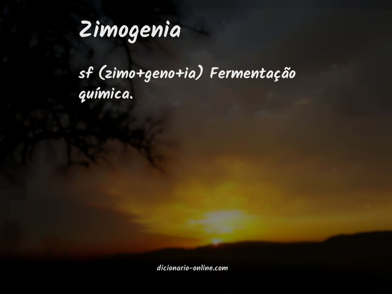 Significado de zimogenia