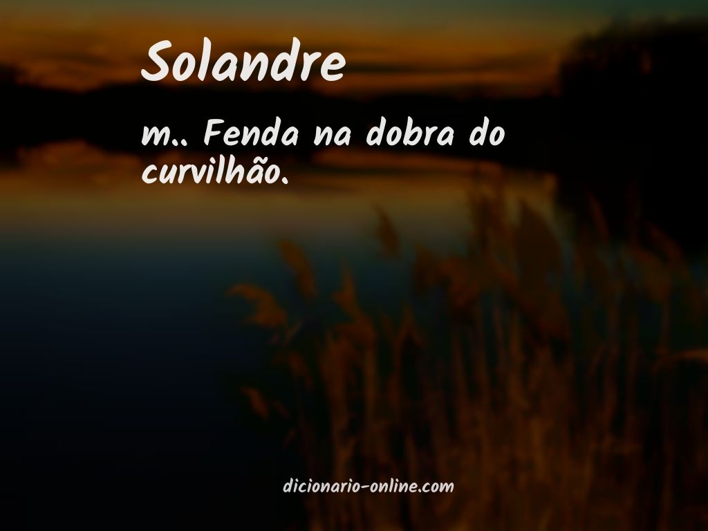 Significado de solandre