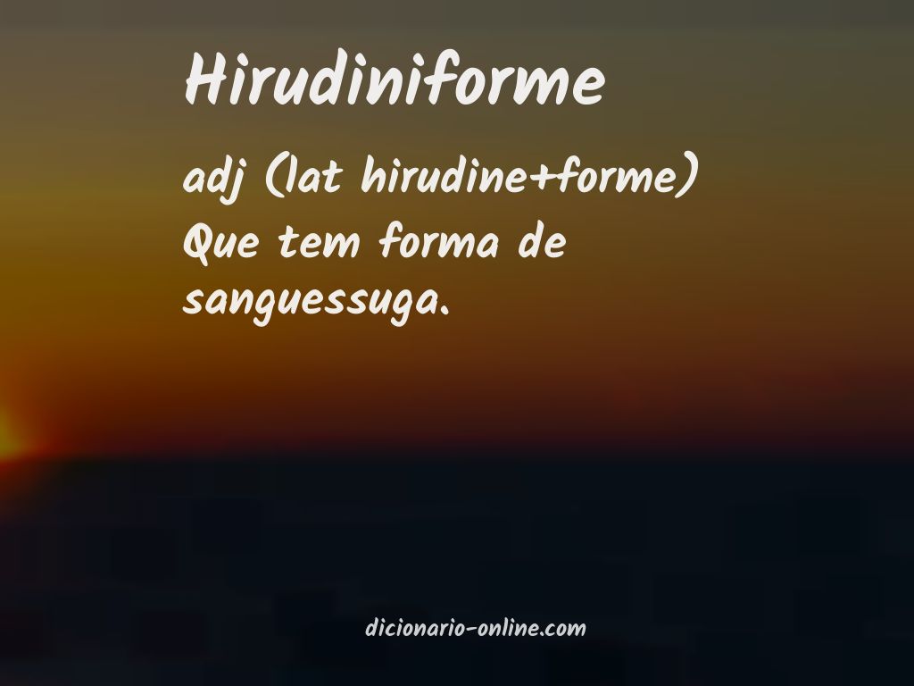 Significado de hirudiniforme