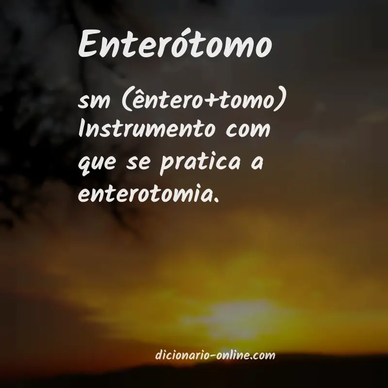 Significado de enterótomo