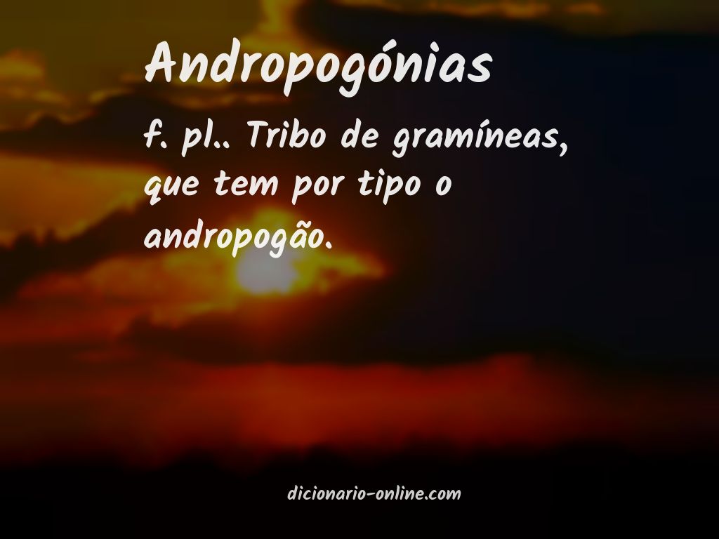 Significado de andropogónias