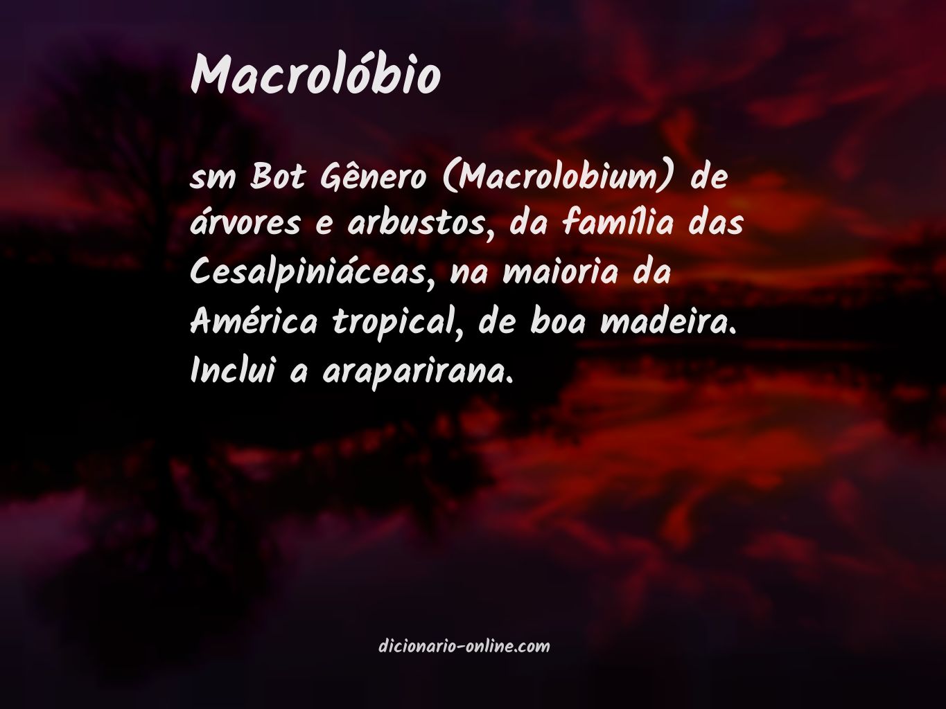 Significado de macrolóbio