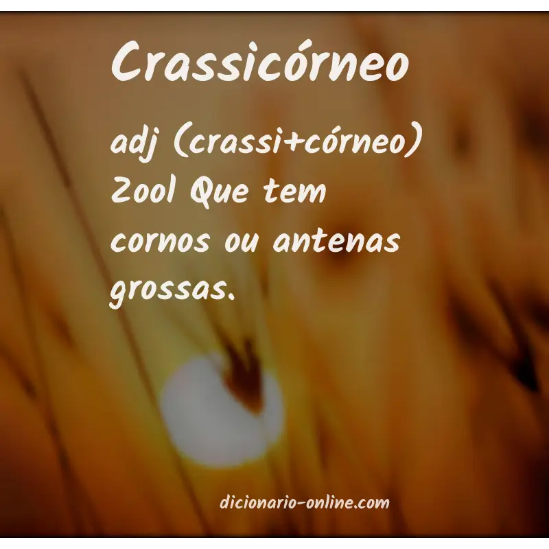 Significado de crassicórneo