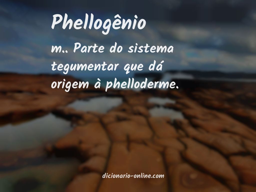 Significado de phellogênio