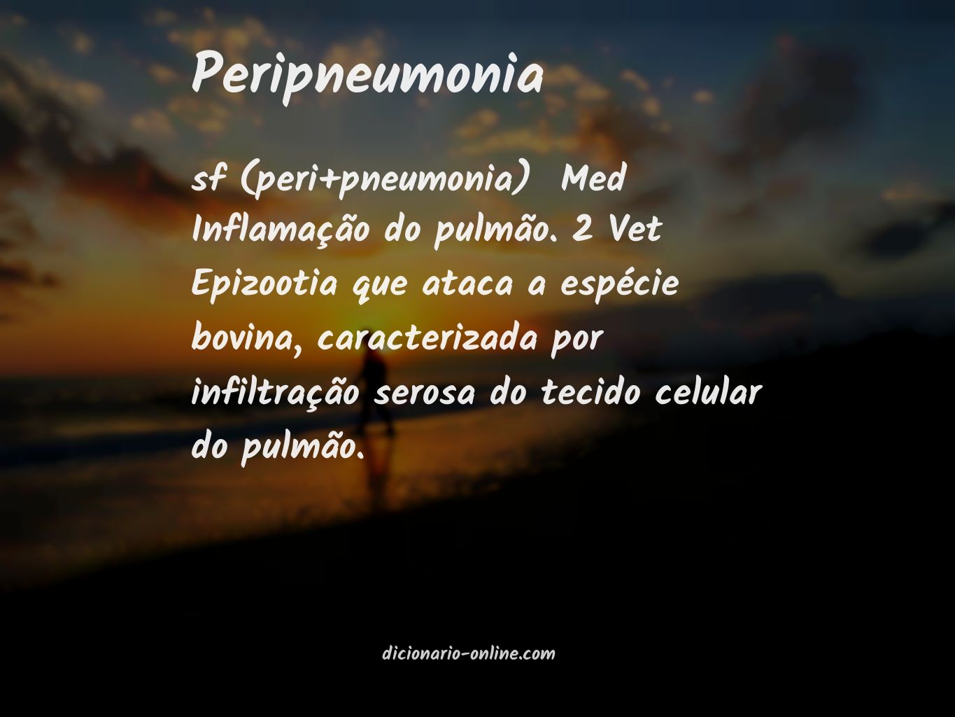 Significado de peripneumonia