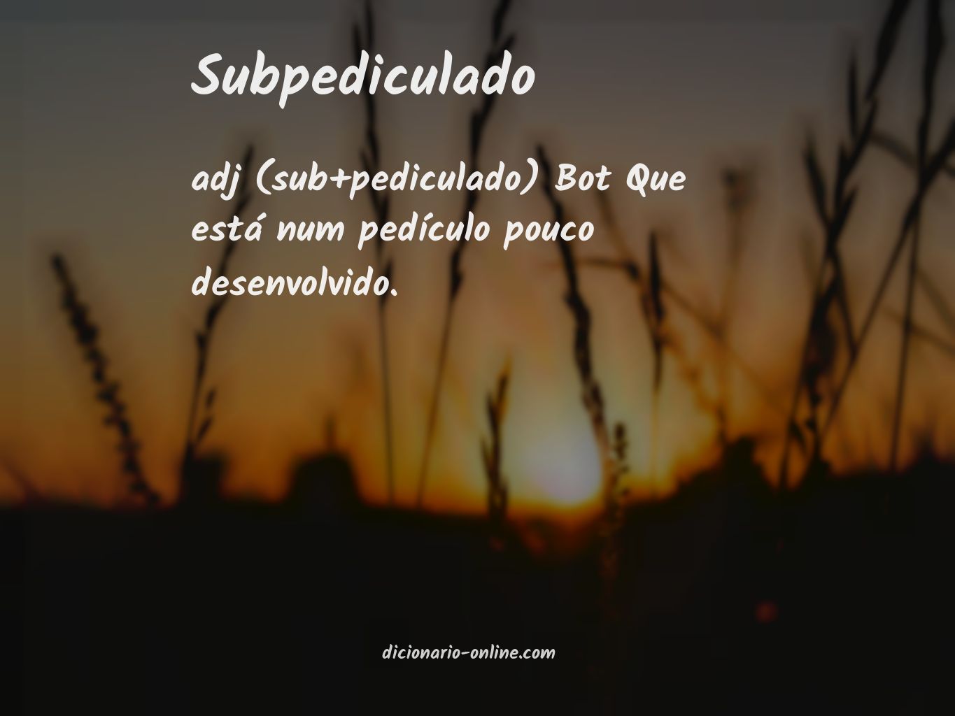 Significado de subpediculado