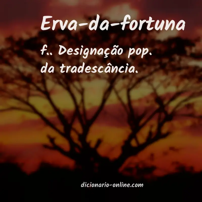 Significado de erva-da-fortuna