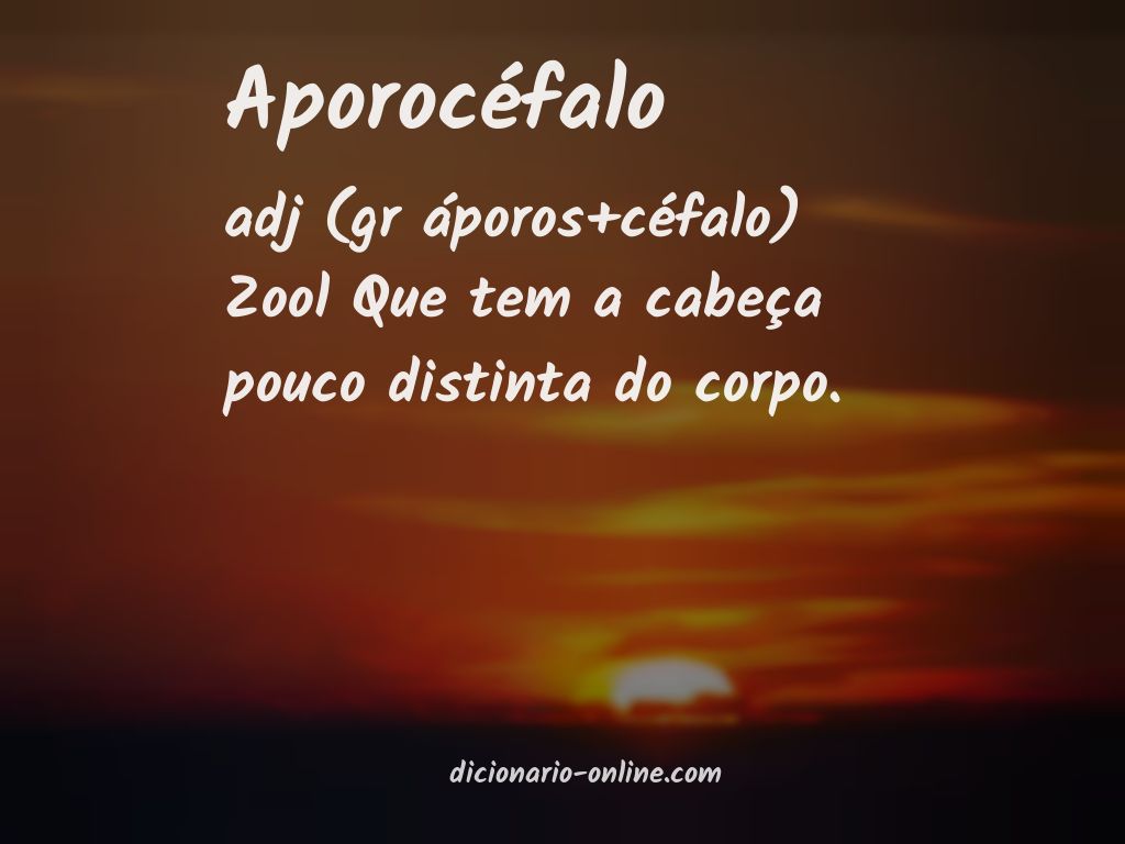 Significado de aporocéfalo