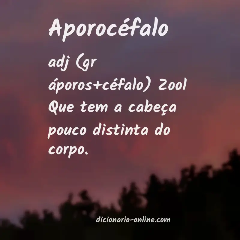 Significado de aporocéfalo