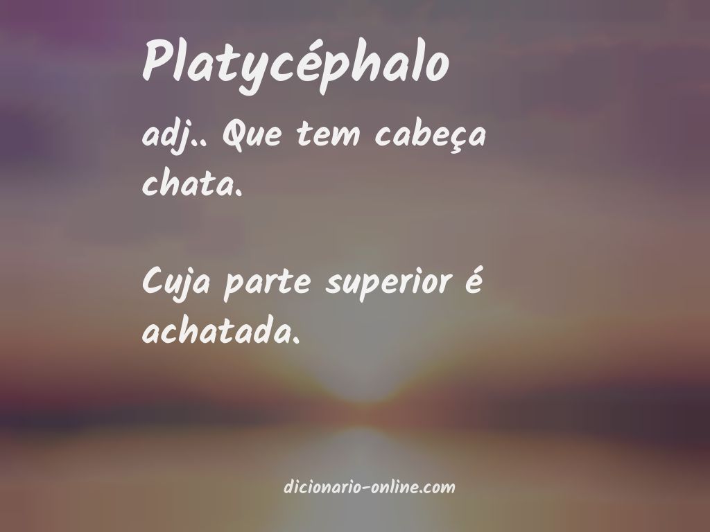 Significado de platycéphalo