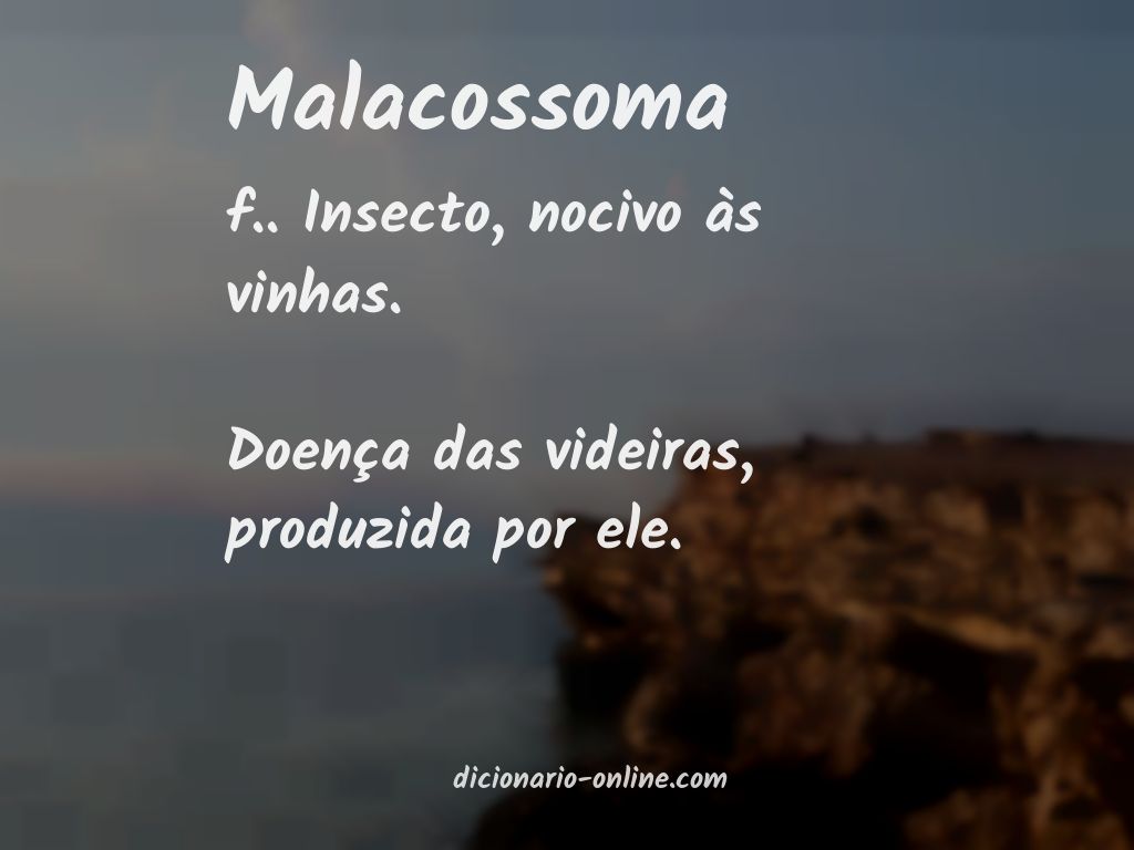 Significado de malacossoma
