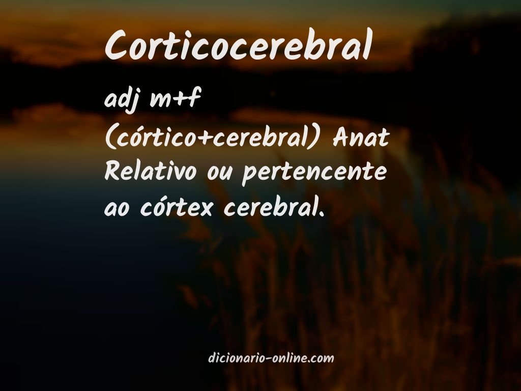 Significado de corticocerebral