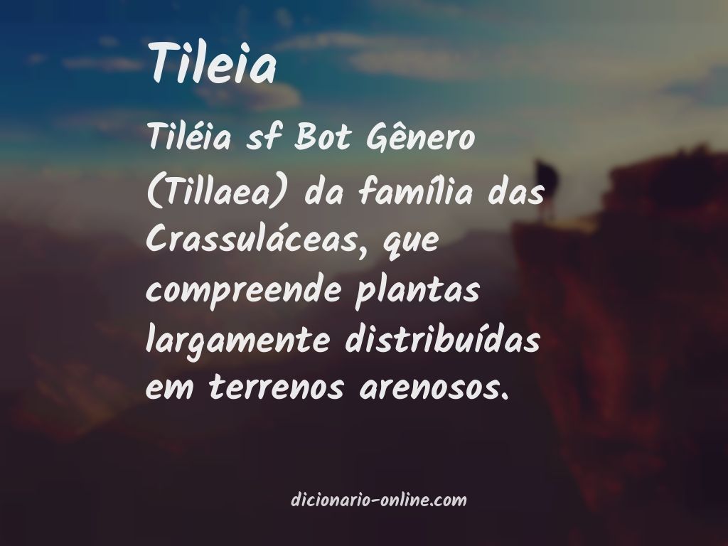 Significado de tileia