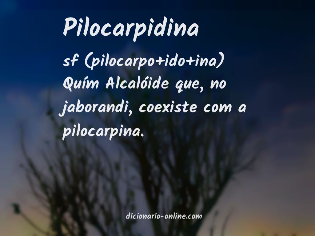 Significado de pilocarpidina