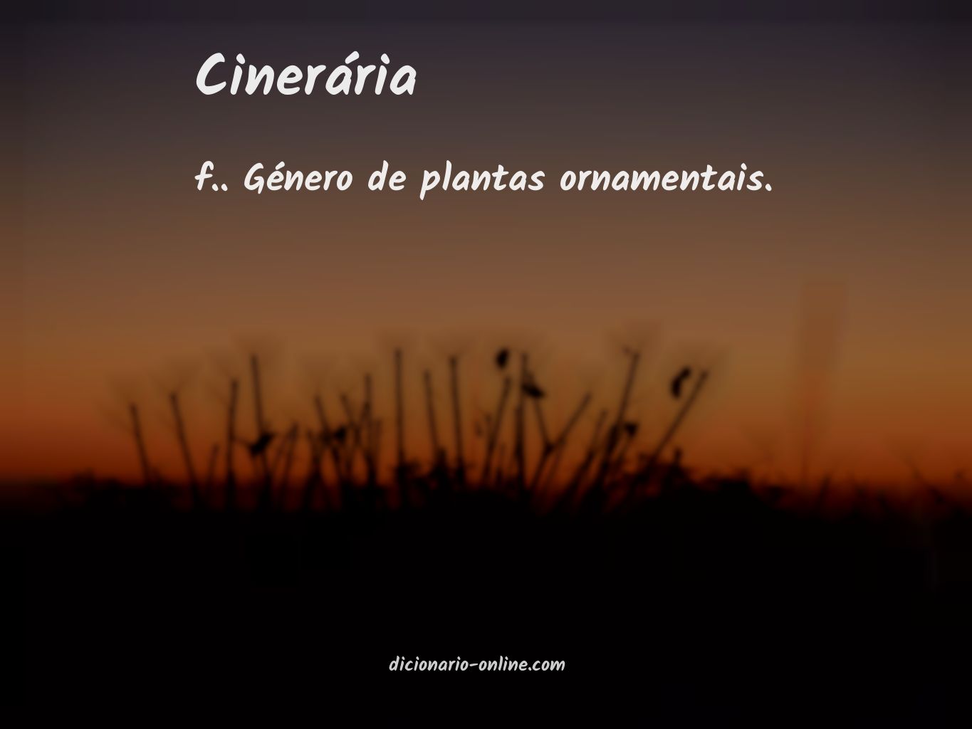 Significado de cinerária