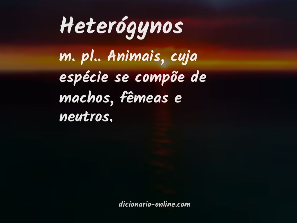 Significado de heterógynos